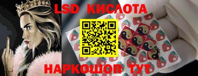 ПСИЛОЦИБИНОВЫЕ ГРИБЫ Можайск
